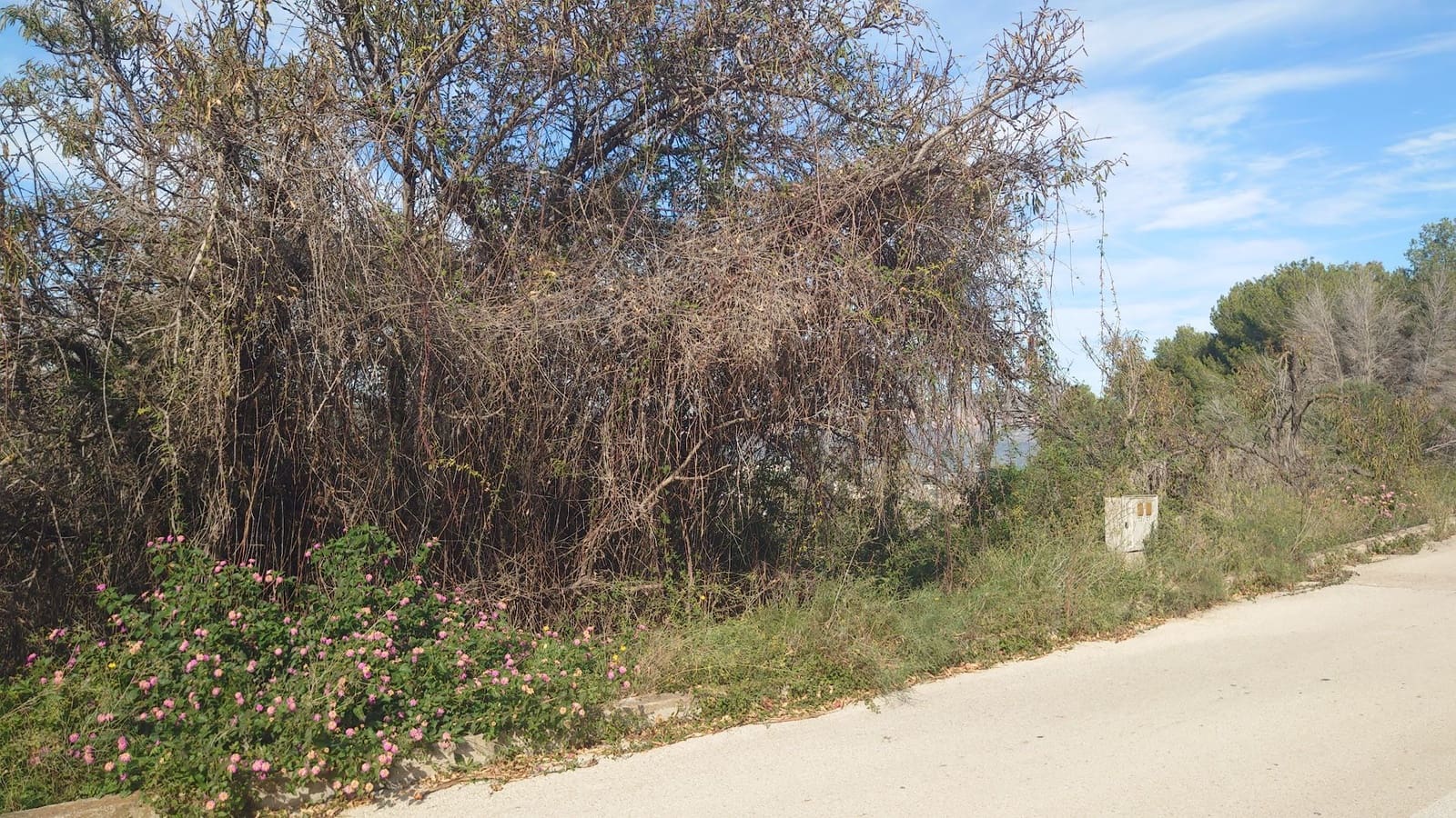 Landgrundstück zu verkaufen in Benitachell / Benitatxell - 155.000 € (Ref: 9382312)