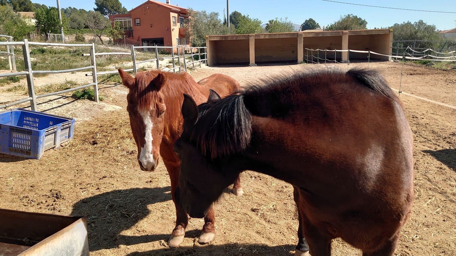 3 quarto Quinta/Casa Rural para venda em Finestrat - 1 751 000 € (Ref: 9629581)