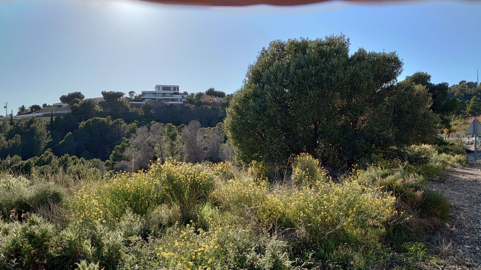 Terre non Aménagée à vendre à Altea - 947 000 € (Ref: 9689988)