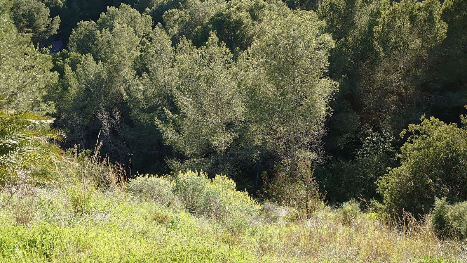 Terre non Aménagée à vendre à Altea - 947 000 € (Ref: 9689988)