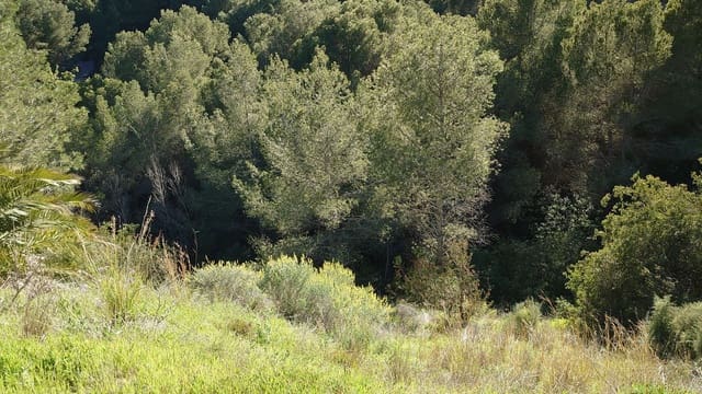 Grunde uden byggetilladelser til salg i Altea - € 947.000 (Ref: 9689988)