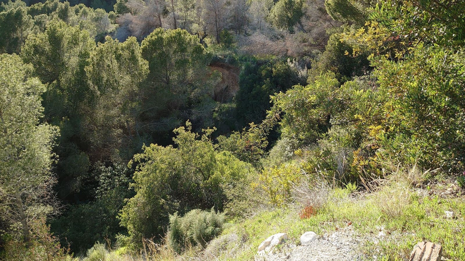 Terre non Aménagée à vendre à Altea - 947 000 € (Ref: 9689988)