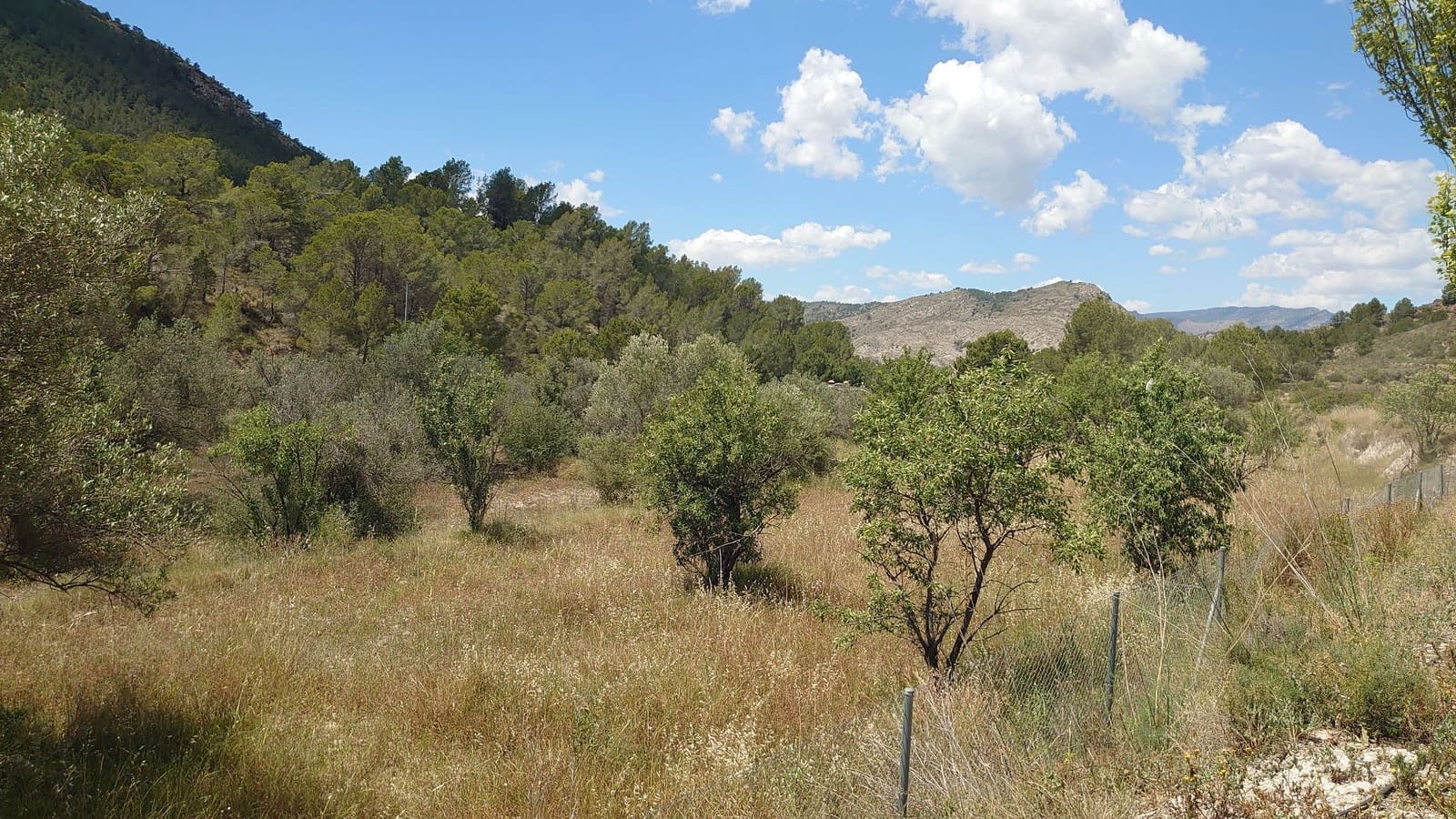 Grunde uden byggetilladelser til salg i Finestrat - € 70.000 (Ref: 9842103)