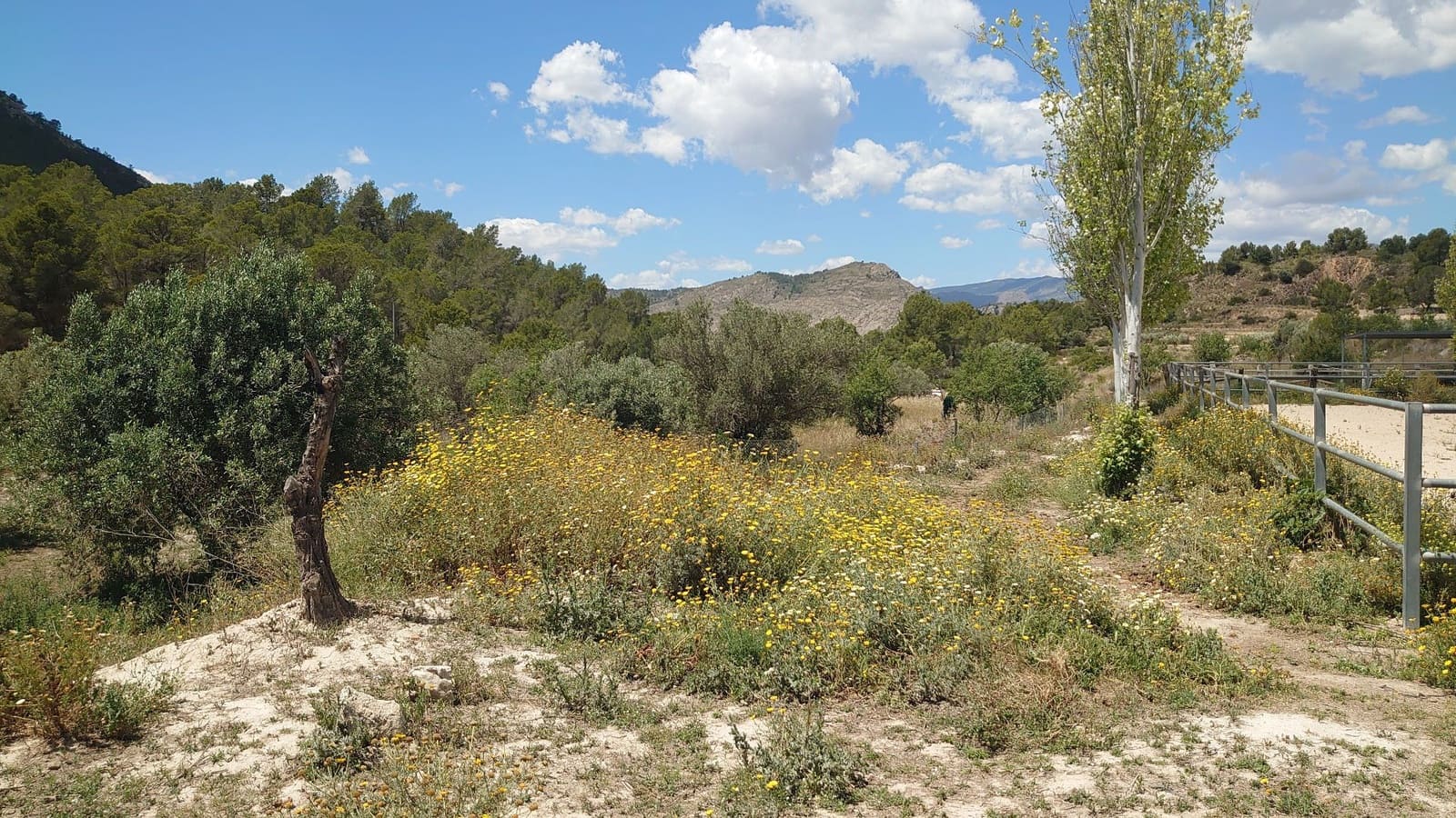 Grunde uden byggetilladelser til salg i Finestrat - € 70.000 (Ref: 9842103)