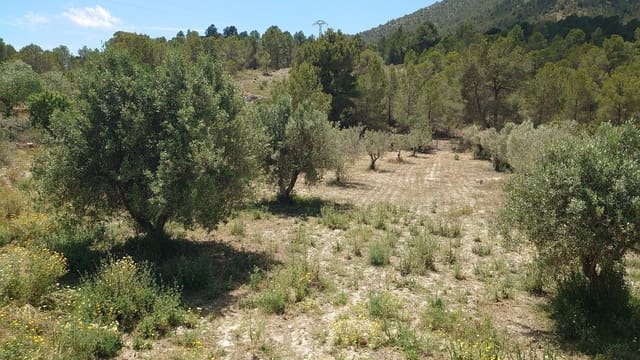 Grunde uden byggetilladelser til salg i Finestrat - € 70.000 (Ref: 9842103)