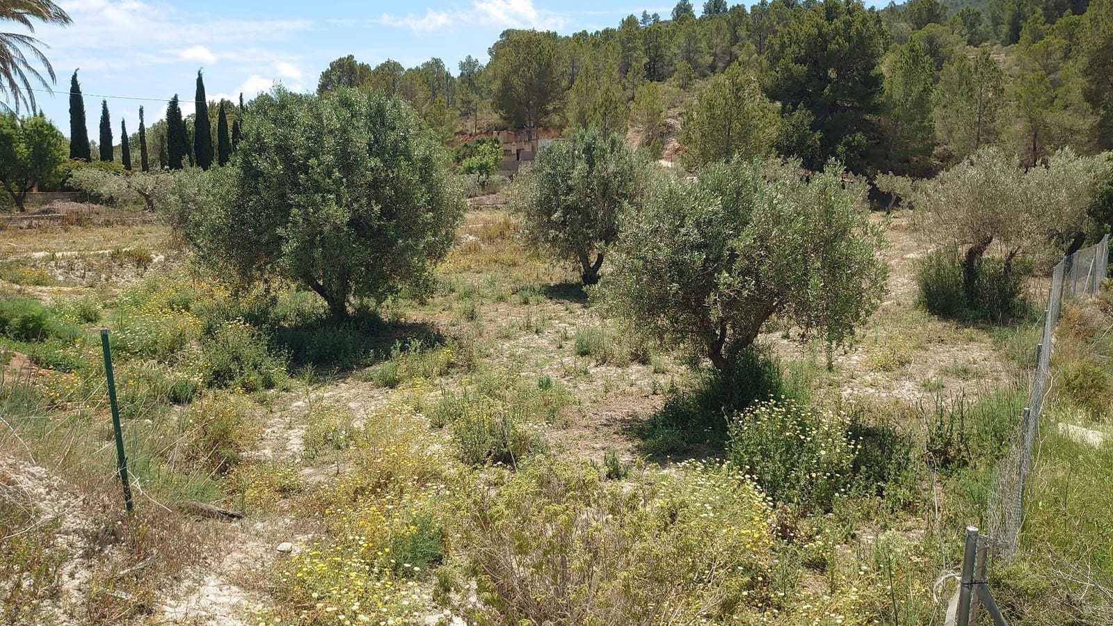 Grunde uden byggetilladelser til salg i Finestrat - € 70.000 (Ref: 9842103)