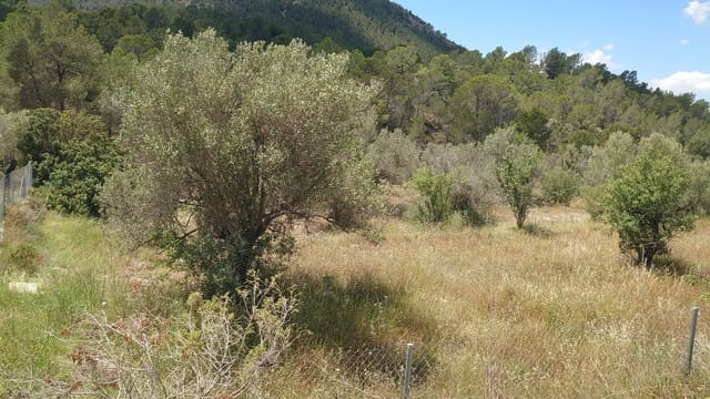 Grunde uden byggetilladelser til salg i Finestrat - € 70.000 (Ref: 9842103)
