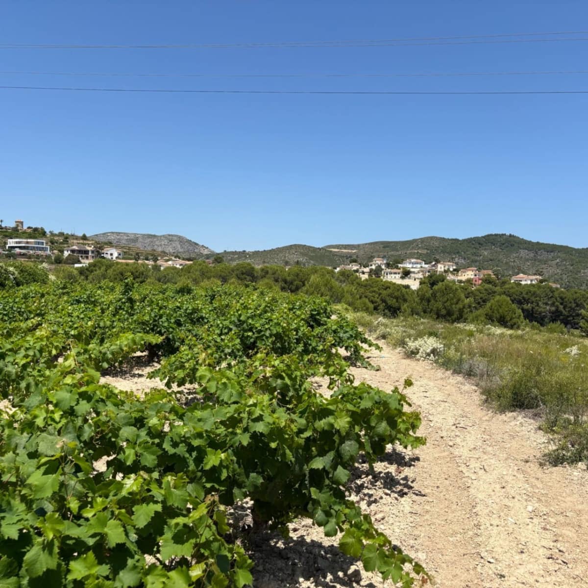 Byggetomt til salgs i Moraira - € 410 000 (Ref: 9938591)