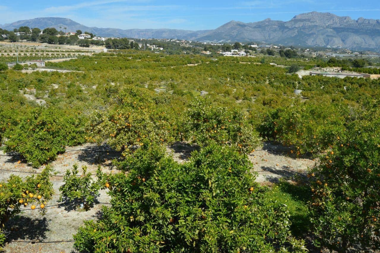 Ubebygd land til salgs i Altea - € 420 000 (Ref: 7701987)