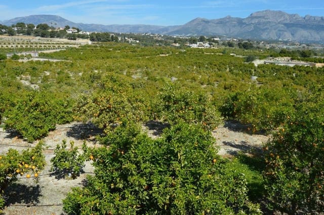 Terreno Non Edificato in vendita in Altea - 420.000 € (Rif: 7701987)