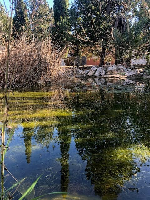 5 camera da letto Finca/Casa di Campagna in vendita in La Xara con piscina garage - 1.290.000 € (Rif: 8253781)