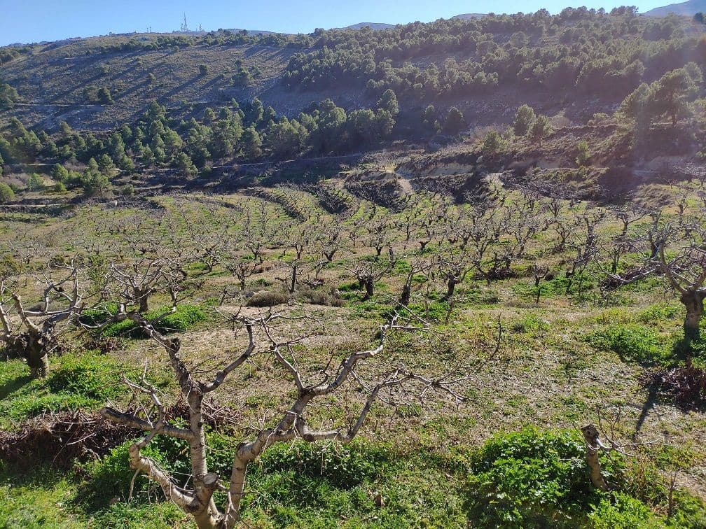 5 bedroom Villa for sale in Confrides - € 798,000 (Ref: 4849370)