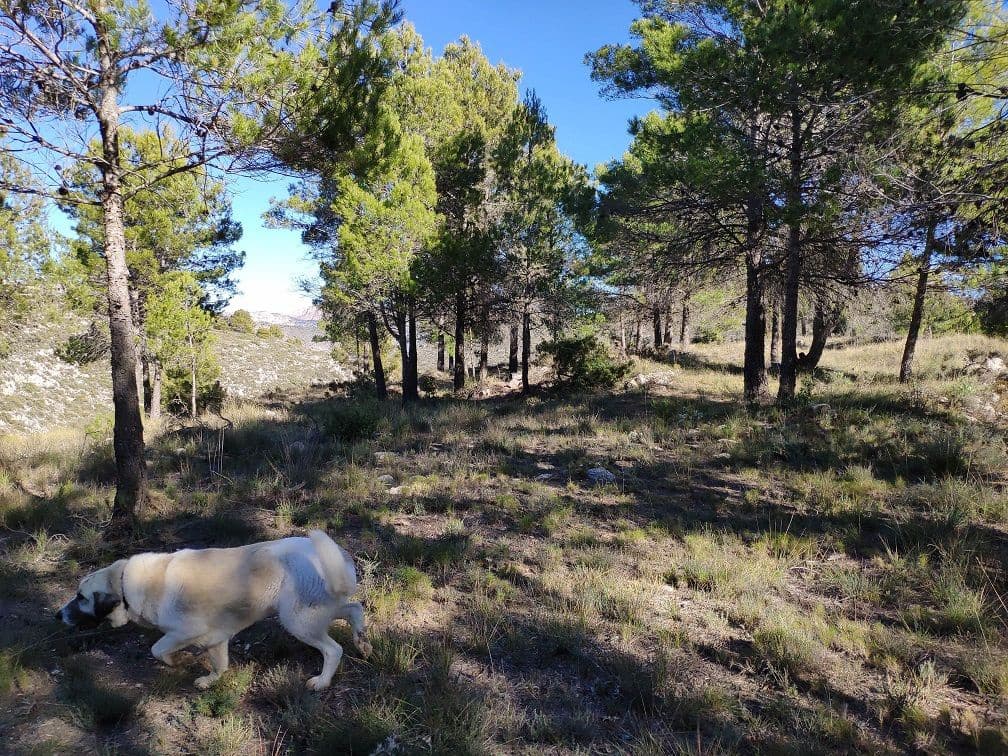 5 bedroom Villa for sale in Confrides - € 798,000 (Ref: 4849370)