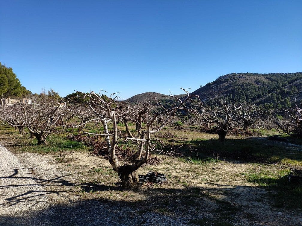 5 bedroom Villa for sale in Confrides - € 798,000 (Ref: 4849370)