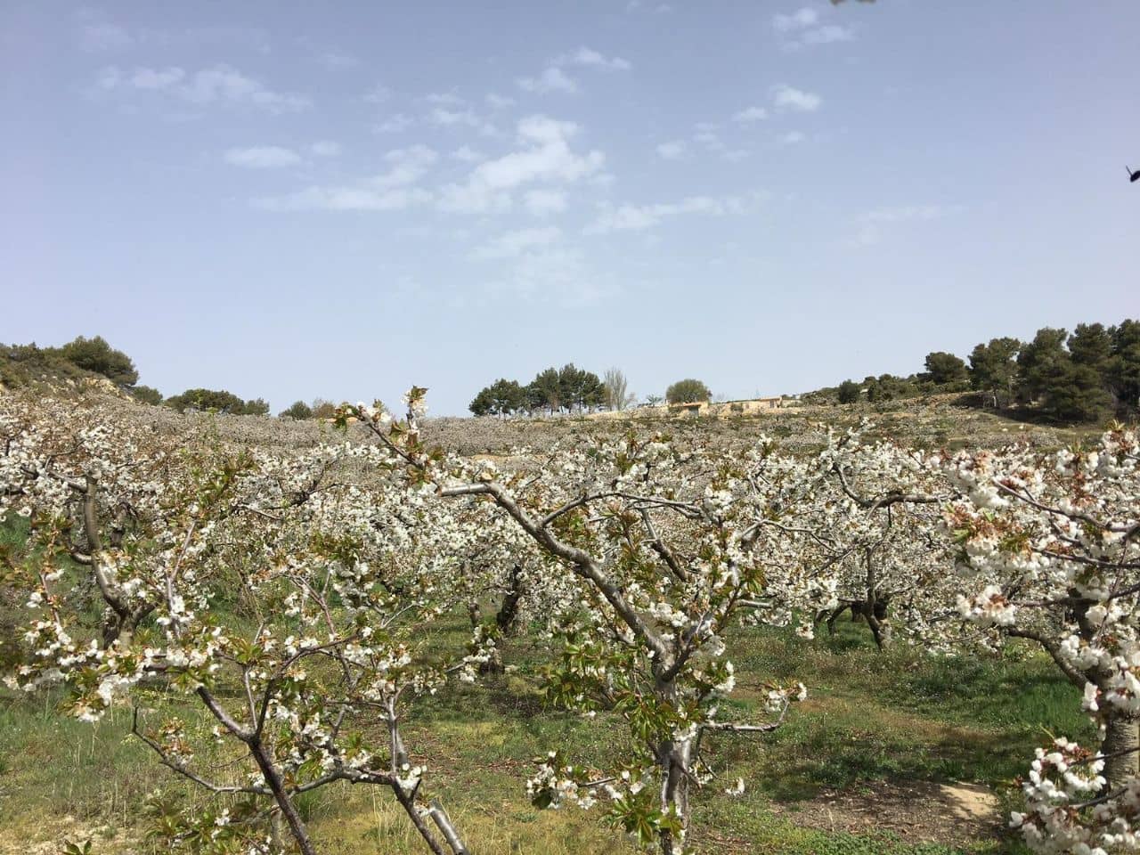 5 bedroom Villa for sale in Confrides - € 798,000 (Ref: 4849370)