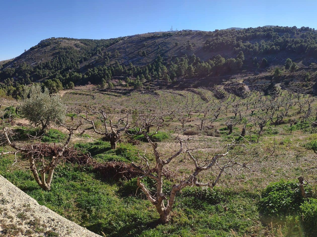 5 bedroom Villa for sale in Confrides - € 798,000 (Ref: 4849370)