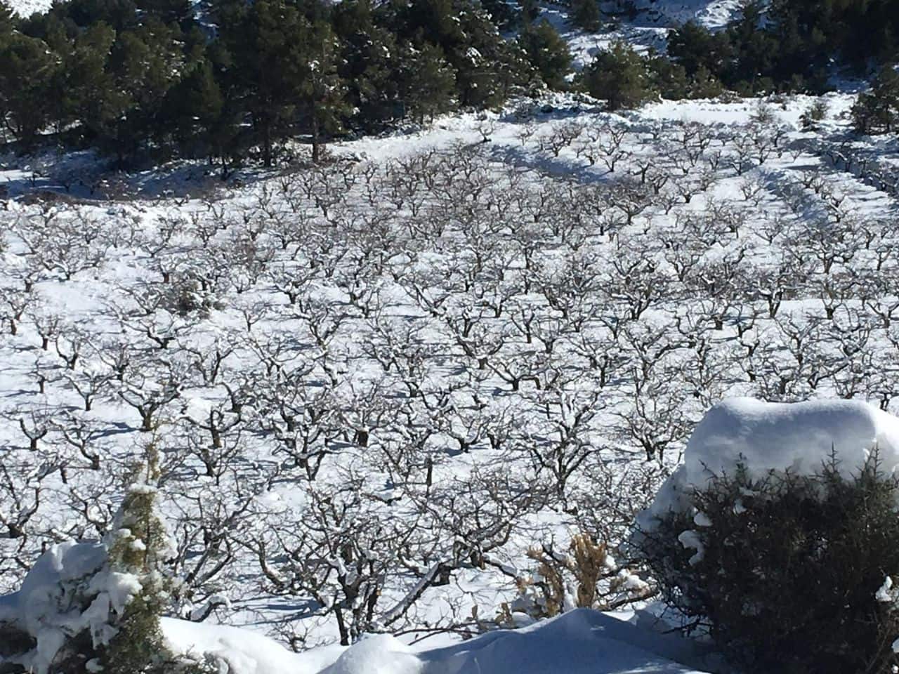 5 bedroom Villa for sale in Confrides - € 798,000 (Ref: 4849370)