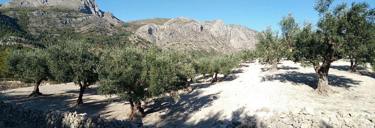 1 camera da letto Villa in vendita in Beniarda - 107.000 € (Rif: 4849393)