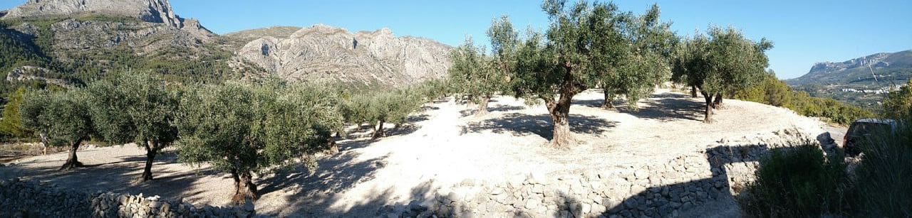 1 camera da letto Villa in vendita in Beniarda - 107.000 € (Rif: 4849393)