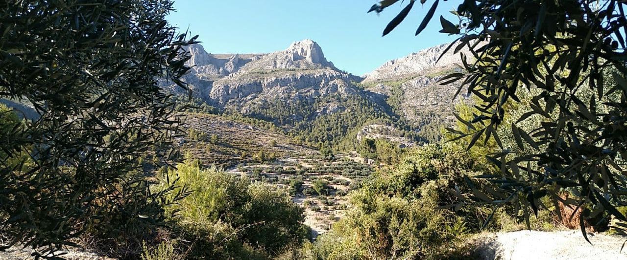 1 camera da letto Villa in vendita in Beniarda - 107.000 € (Rif: 4849393)