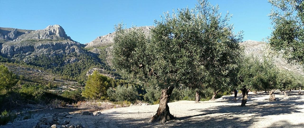 1 camera da letto Villa in vendita in Beniarda - 107.000 € (Rif: 4849393)