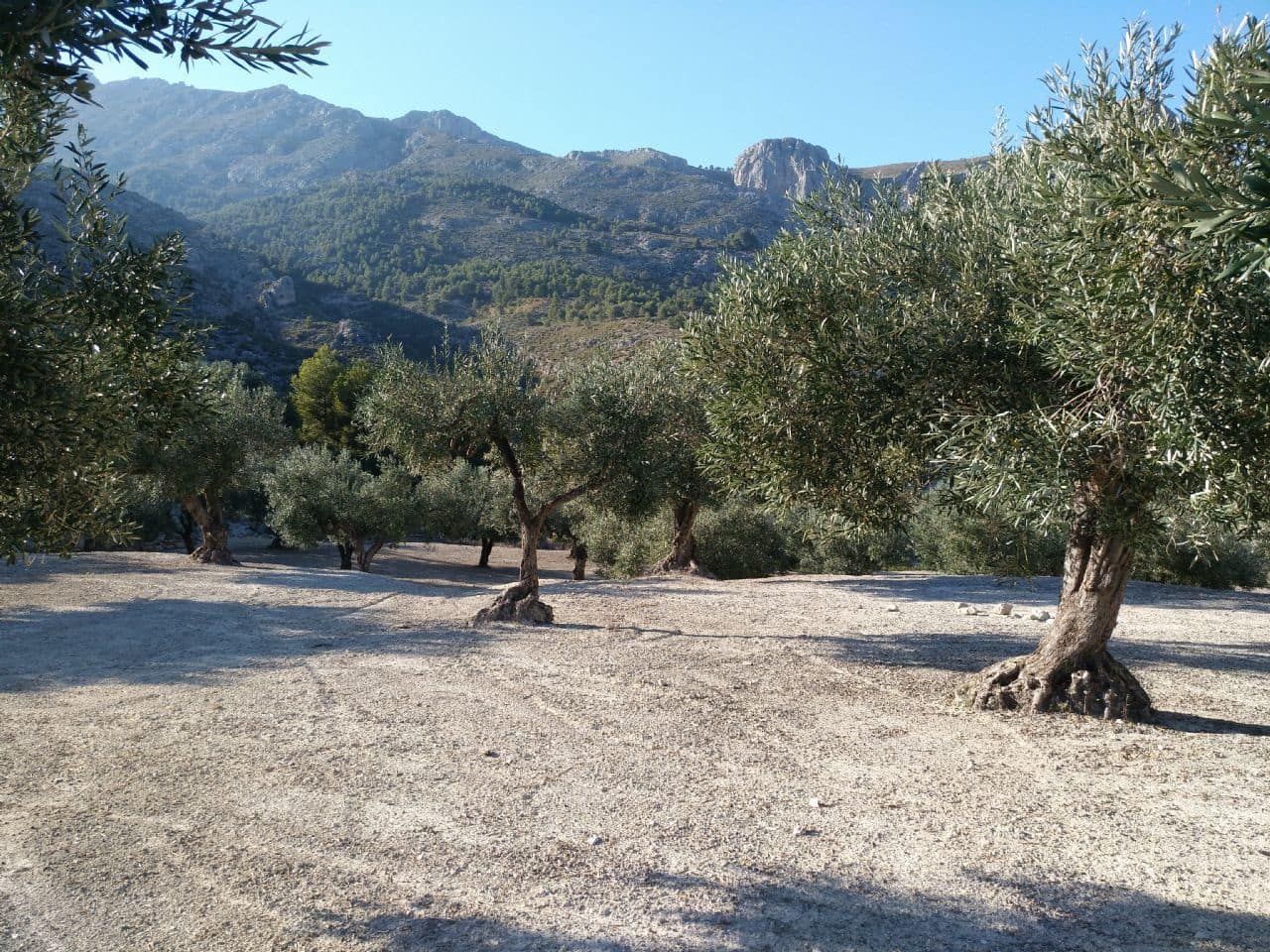 1 camera da letto Villa in vendita in Beniarda - 107.000 € (Rif: 4849393)