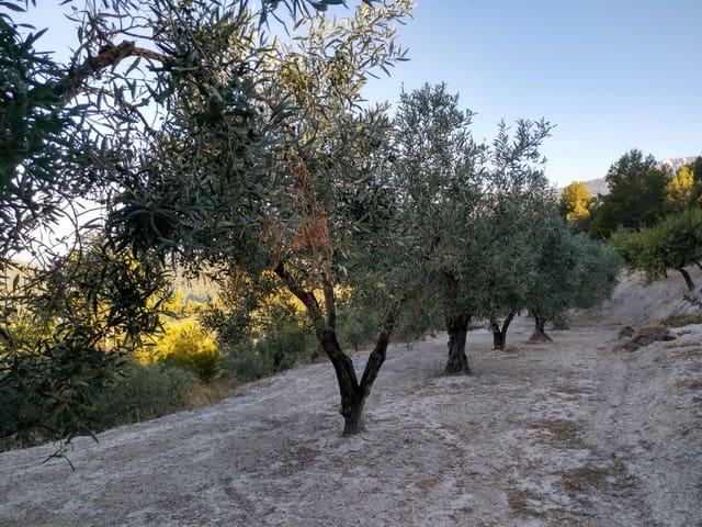 1 camera da letto Villa in vendita in Beniardá - 107.000 € (Rif: 4849393)