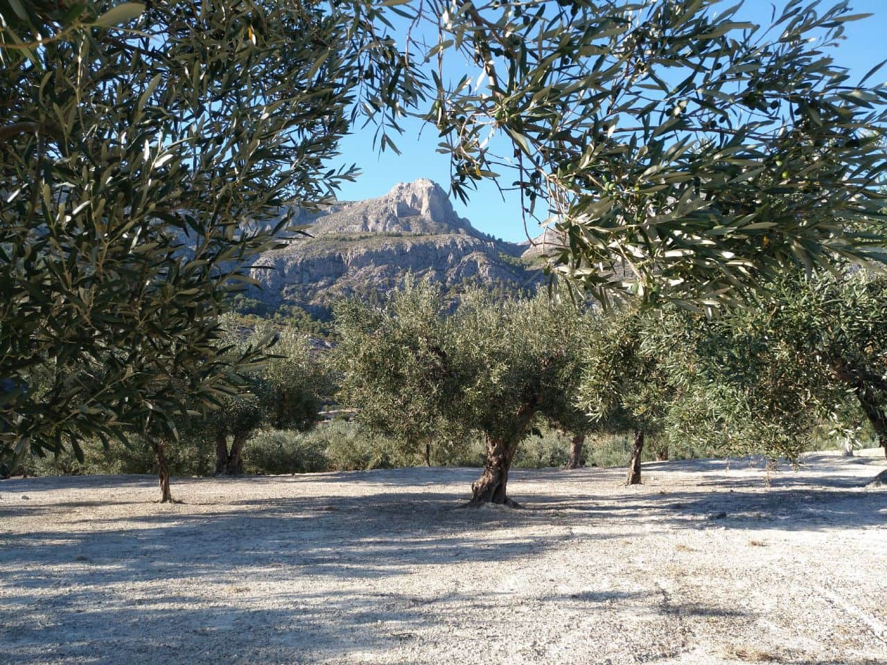 1 camera da letto Villa in vendita in Beniarda - 107.000 € (Rif: 4849393)