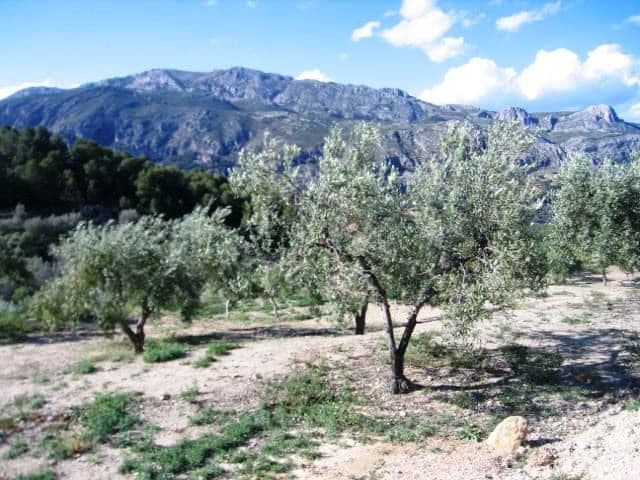 2 camera da letto Villa in vendita in Benifato con garage - 285.000 € (Rif: 4849459)