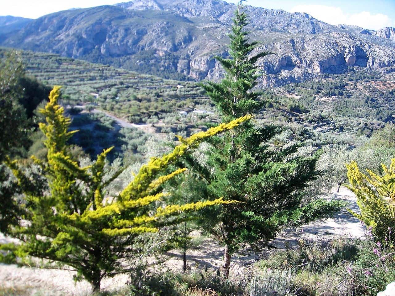 2 camera da letto Villa in vendita in Benifato con garage - 285.000 € (Rif: 4849459)