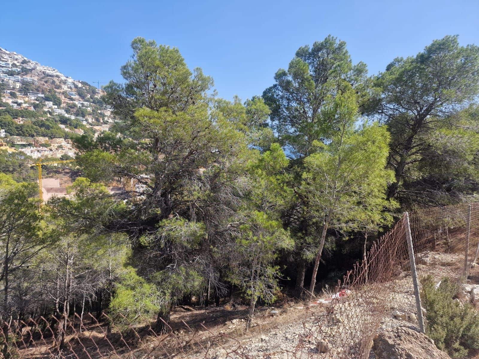 Terreno Non Edificato in vendita in Altea - 250.000 € (Rif: 8253619)