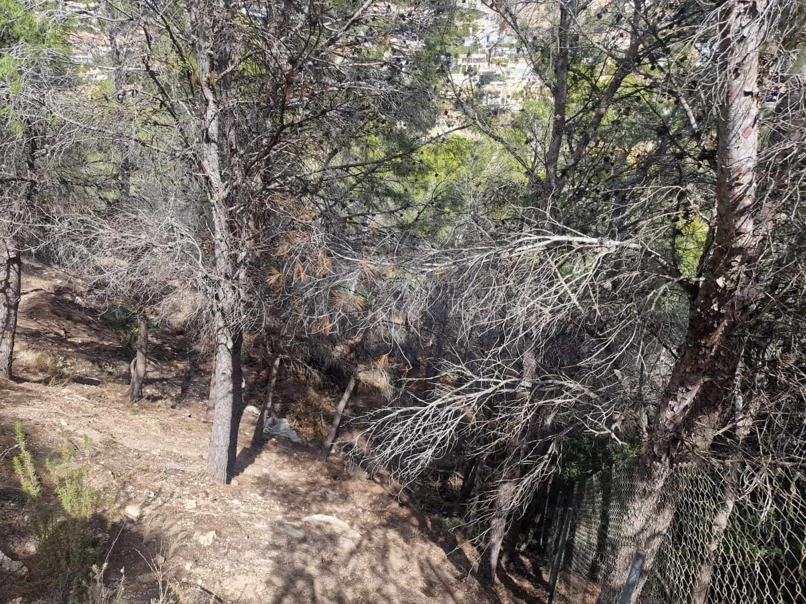 Terreno Non Edificato in vendita in Altea - 250.000 € (Rif: 8253619)