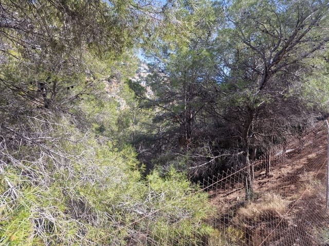 Terreno Non Edificato in vendita in Altea - 250.000 € (Rif: 8253619)