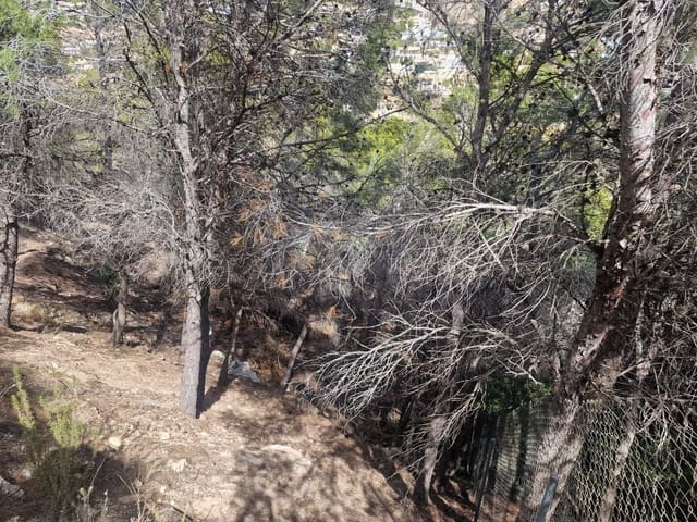 Terreno Non Edificato in vendita in Altea - 250.000 € (Rif: 8253619)