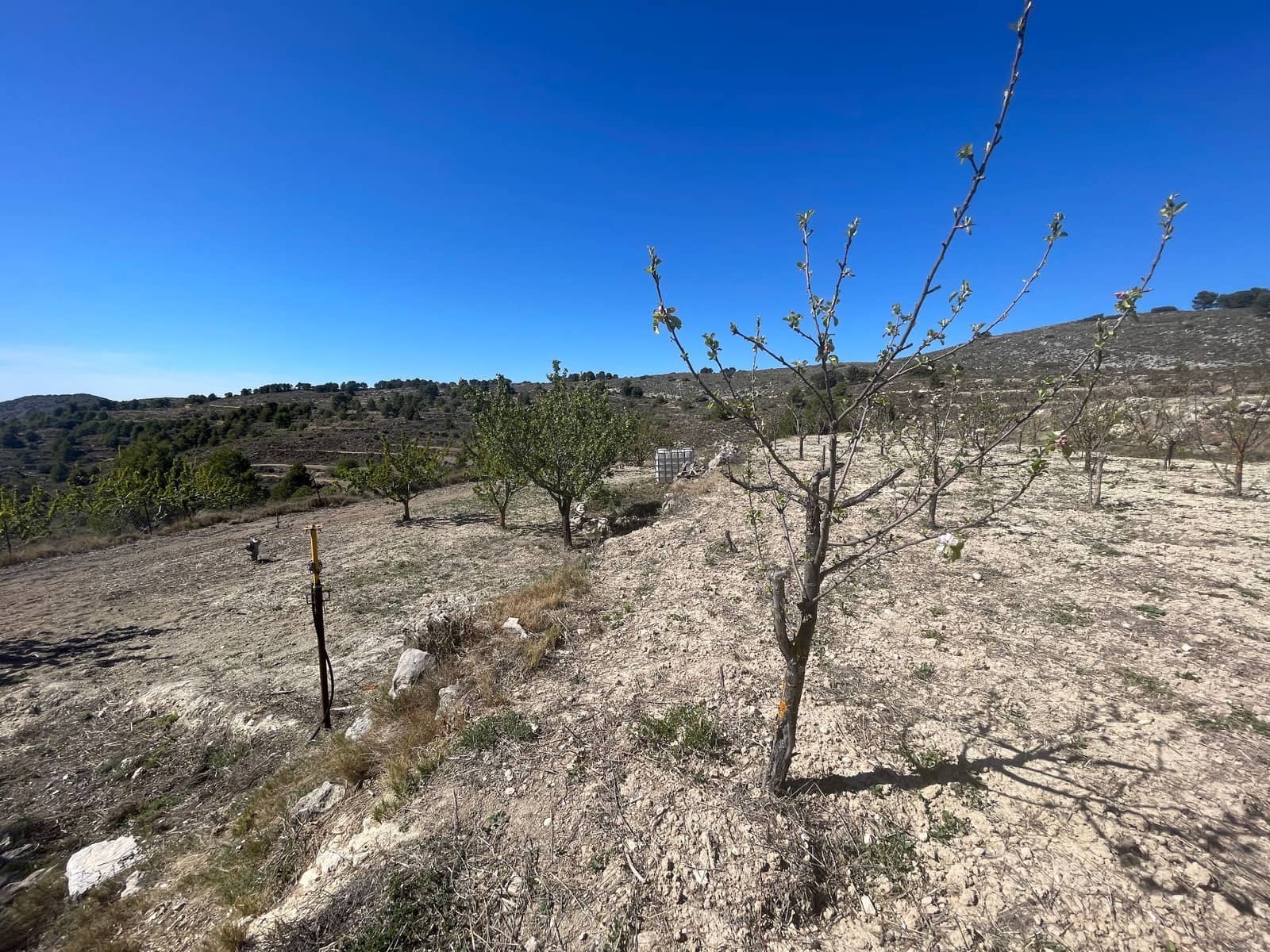 4 soveværelse Villa til salg i Confrides med garage - € 230.000 (Ref: 8315834)