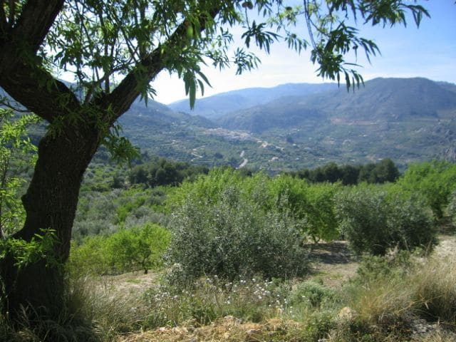 1 soveværelse Villa til salg i Confrides - € 150.000 (Ref: 8536321)