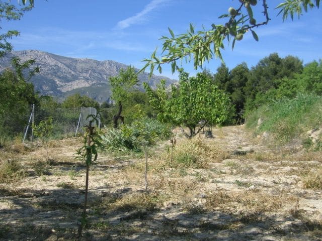 1 soveværelse Villa til salg i Confrides - € 150.000 (Ref: 8536321)