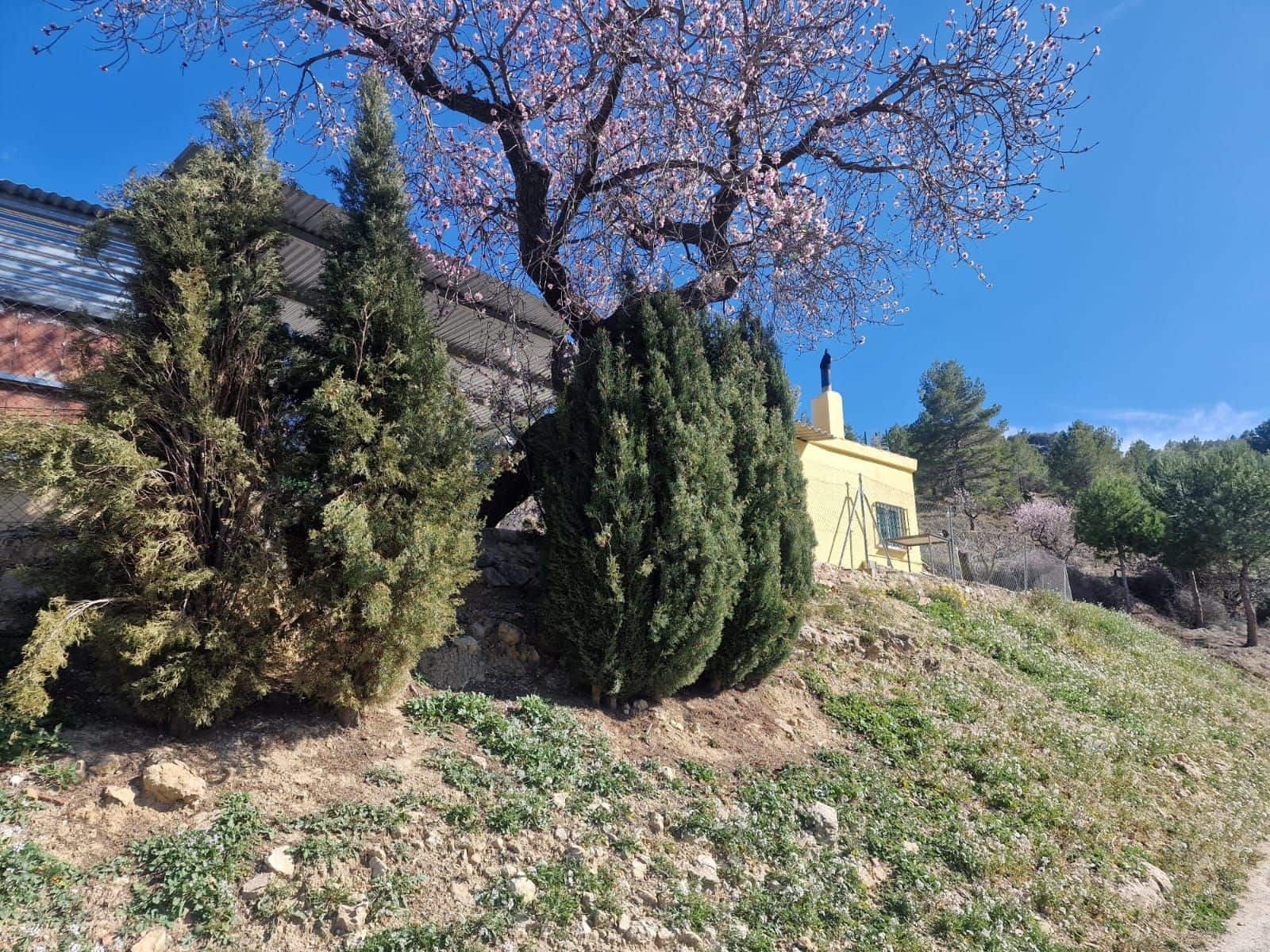 1 soveværelse Villa til salg i Confrides - € 150.000 (Ref: 8536321)