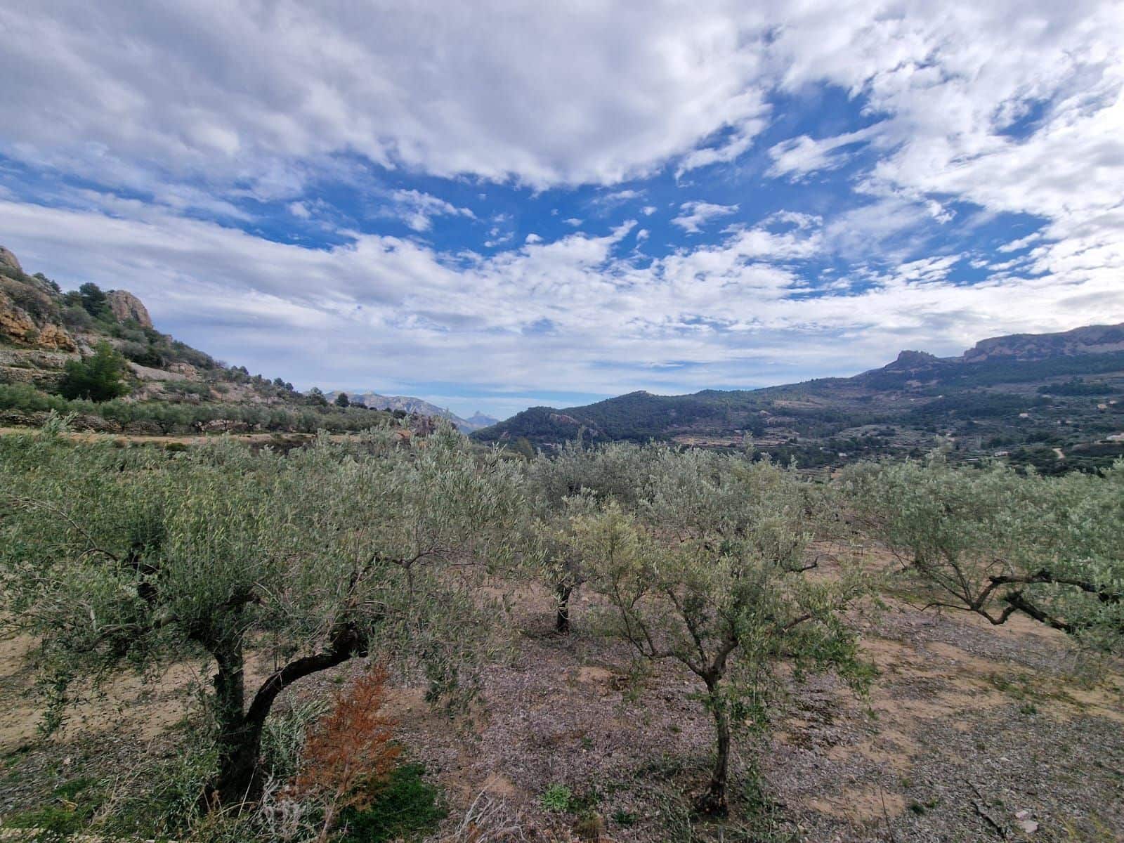 1 bedroom Villa for sale in Confrides with pool garage - € 150,000 (Ref: 8805880)