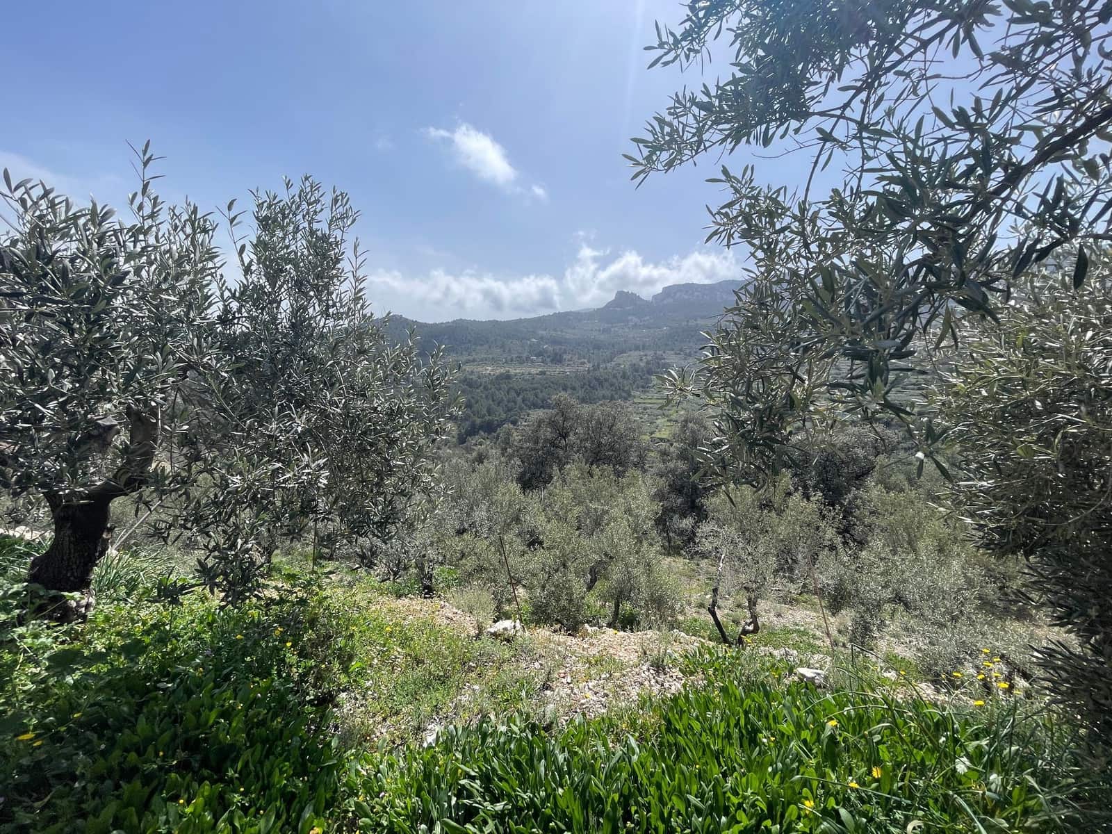 1 soveværelse Villa til salg i Confrides - € 50.000 (Ref: 8934780)