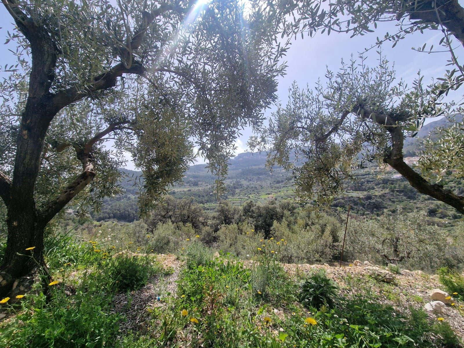 1 soveværelse Villa til salg i Confrides - € 50.000 (Ref: 8934780)