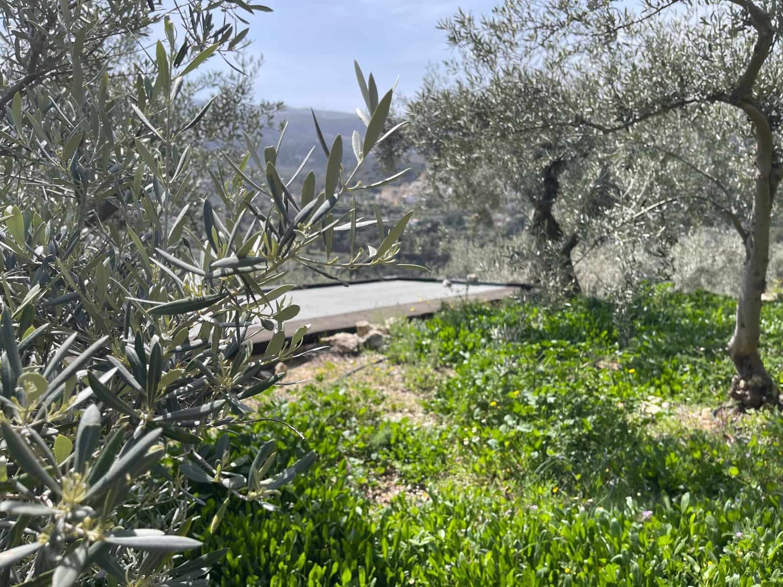 1 soveværelse Villa til salg i Confrides - € 50.000 (Ref: 8934780)