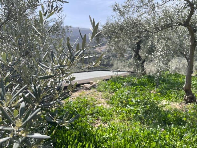 1 soveværelse Villa til salg i Confrides - € 50.000 (Ref: 8934780)