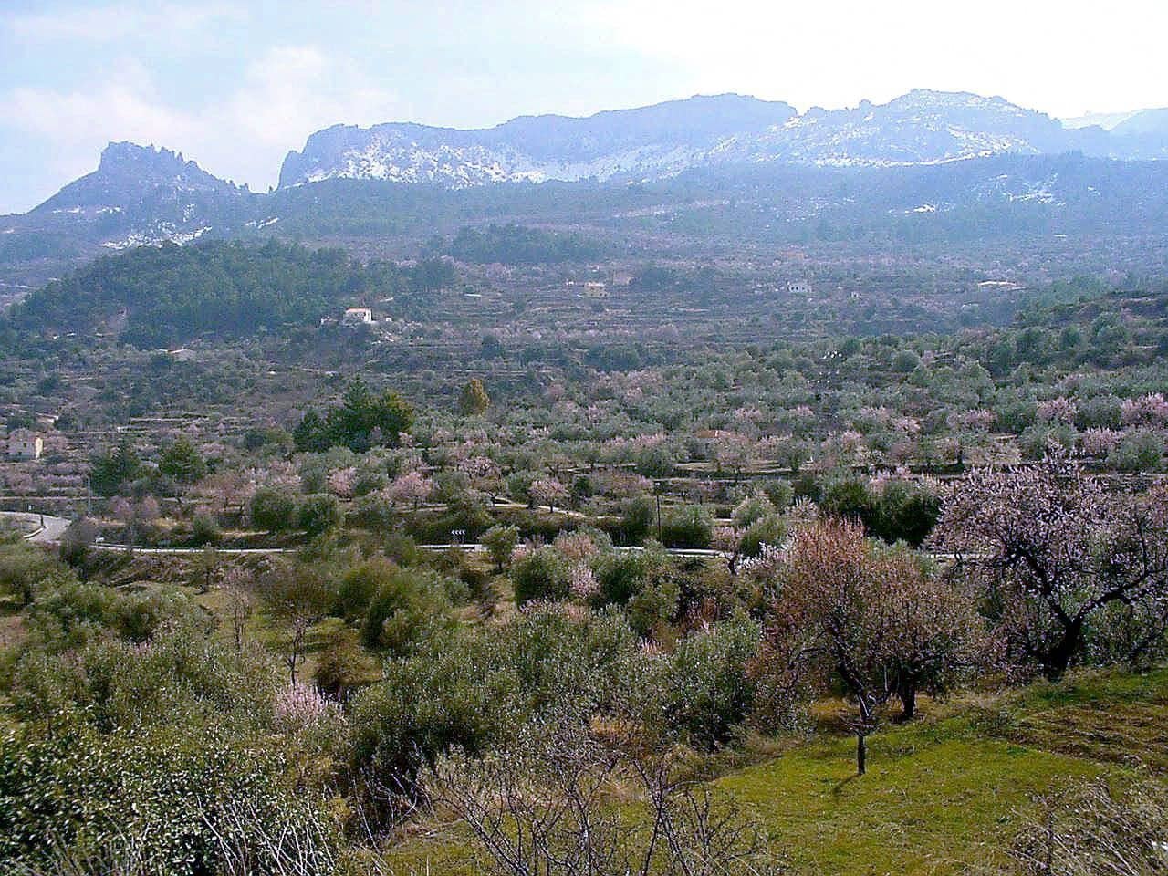 1 soveværelse Villa til salg i Confrides - € 130.000 (Ref: 8968013)