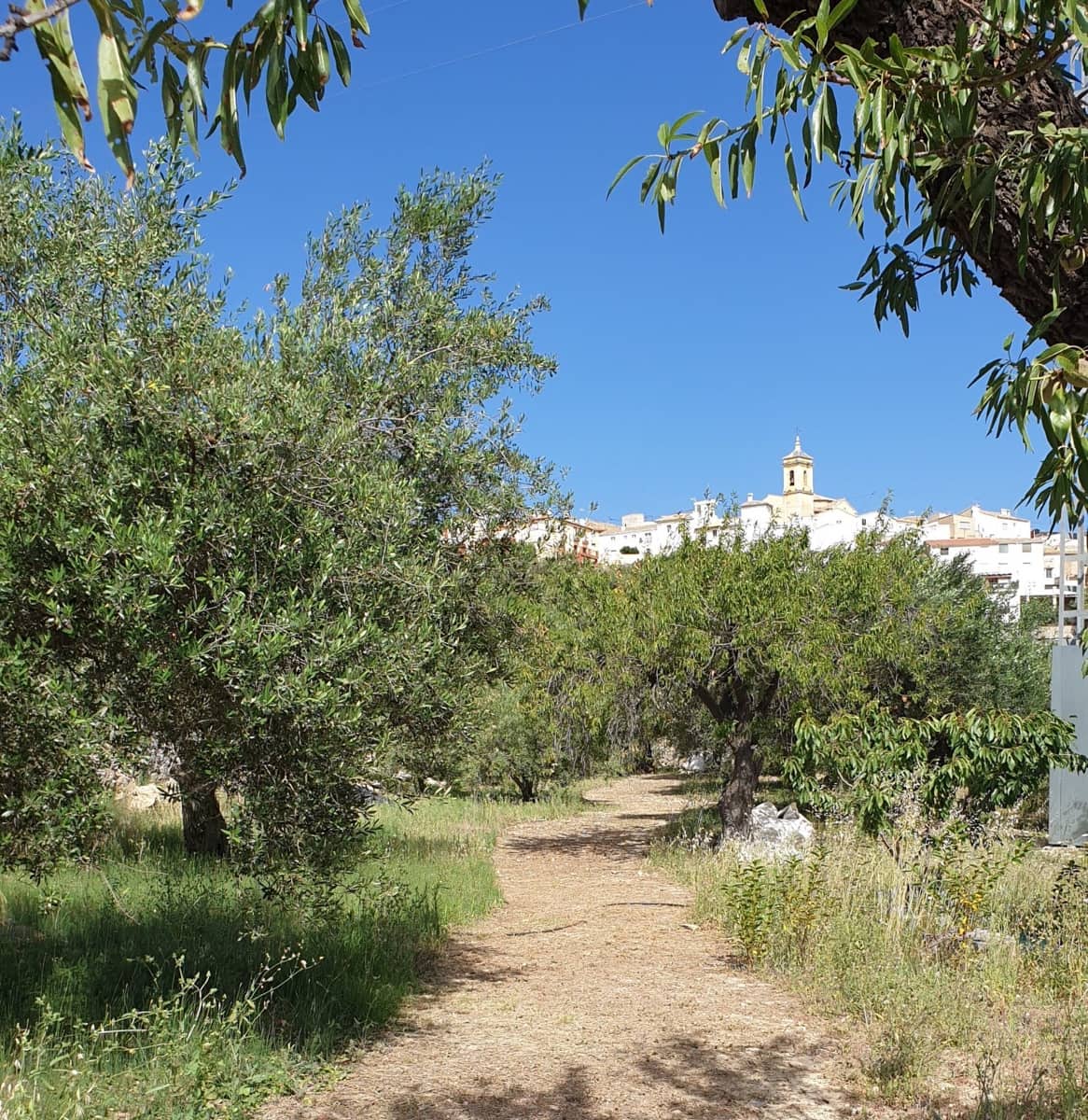 1 soveværelse Villa til salg i Confrides - € 130.000 (Ref: 8968013)