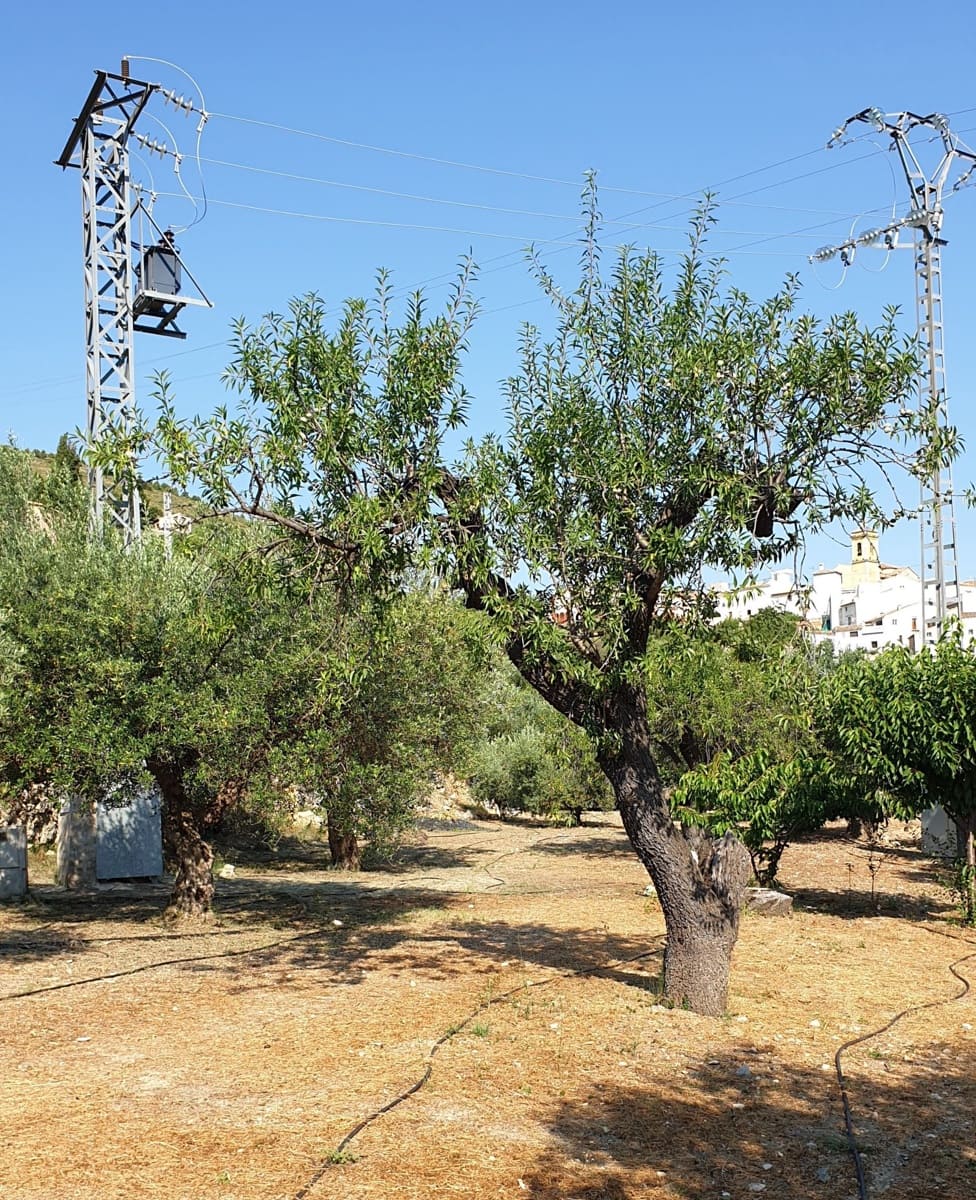 1 soveværelse Villa til salg i Confrides - € 130.000 (Ref: 8968013)