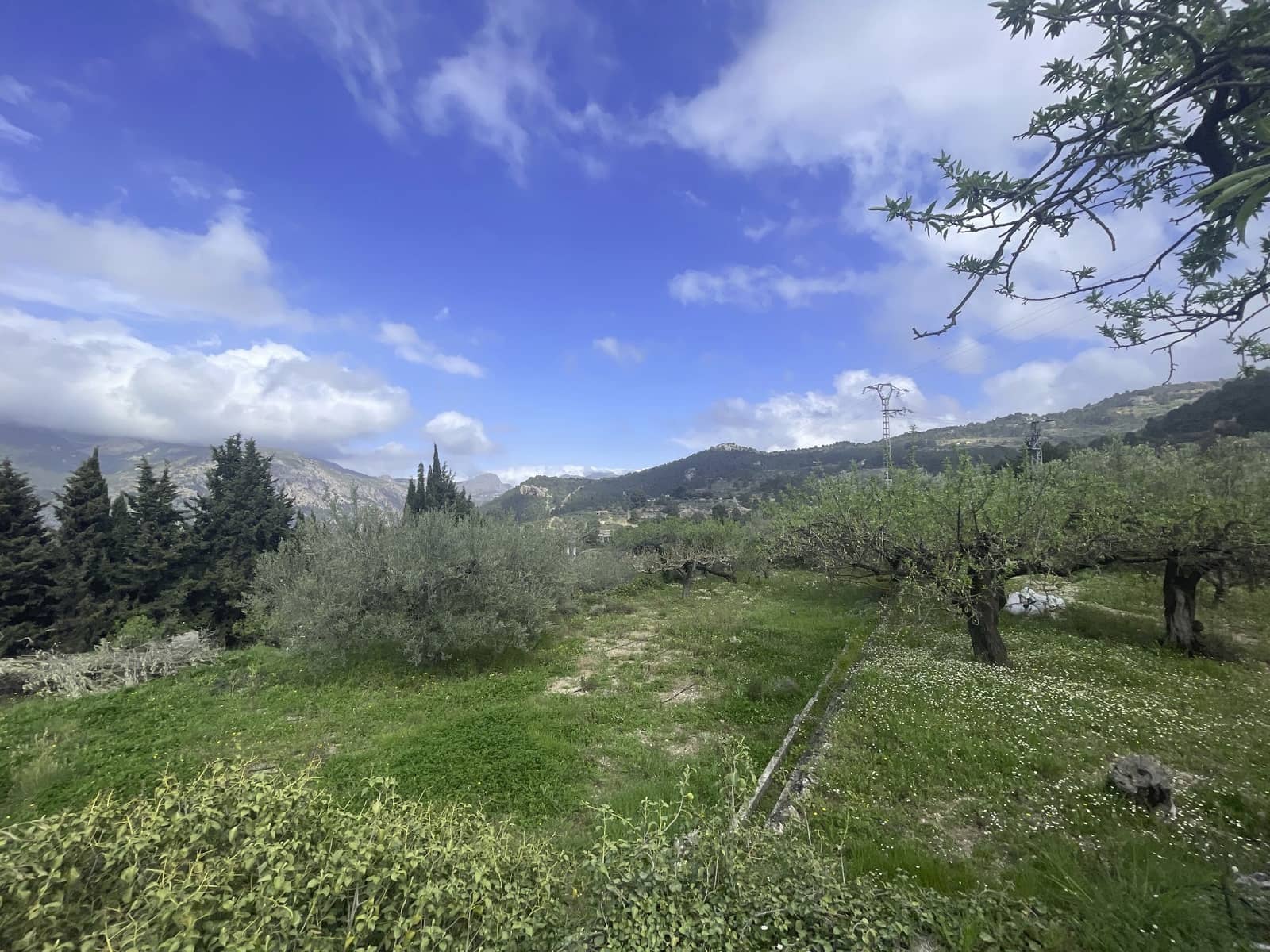 1 soveværelse Villa til salg i Confrides - € 130.000 (Ref: 8968013)