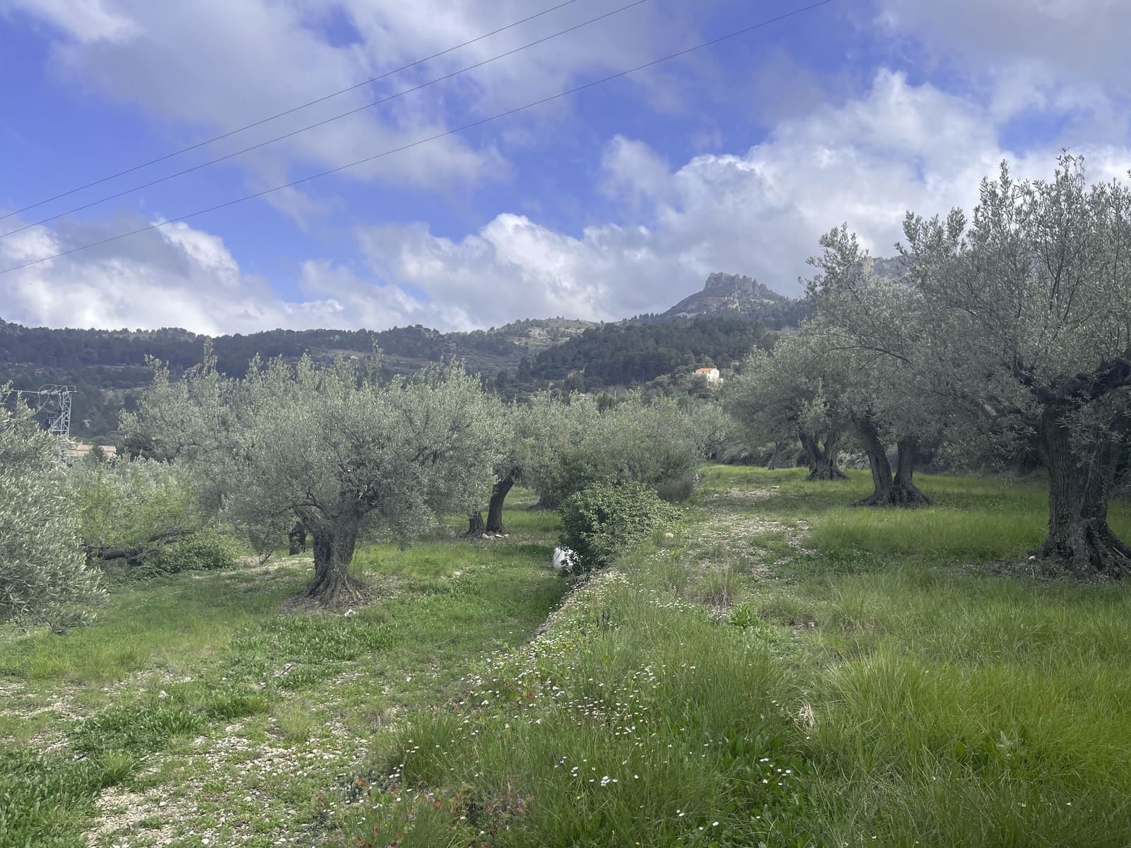 1 soveværelse Villa til salg i Confrides - € 130.000 (Ref: 8968013)