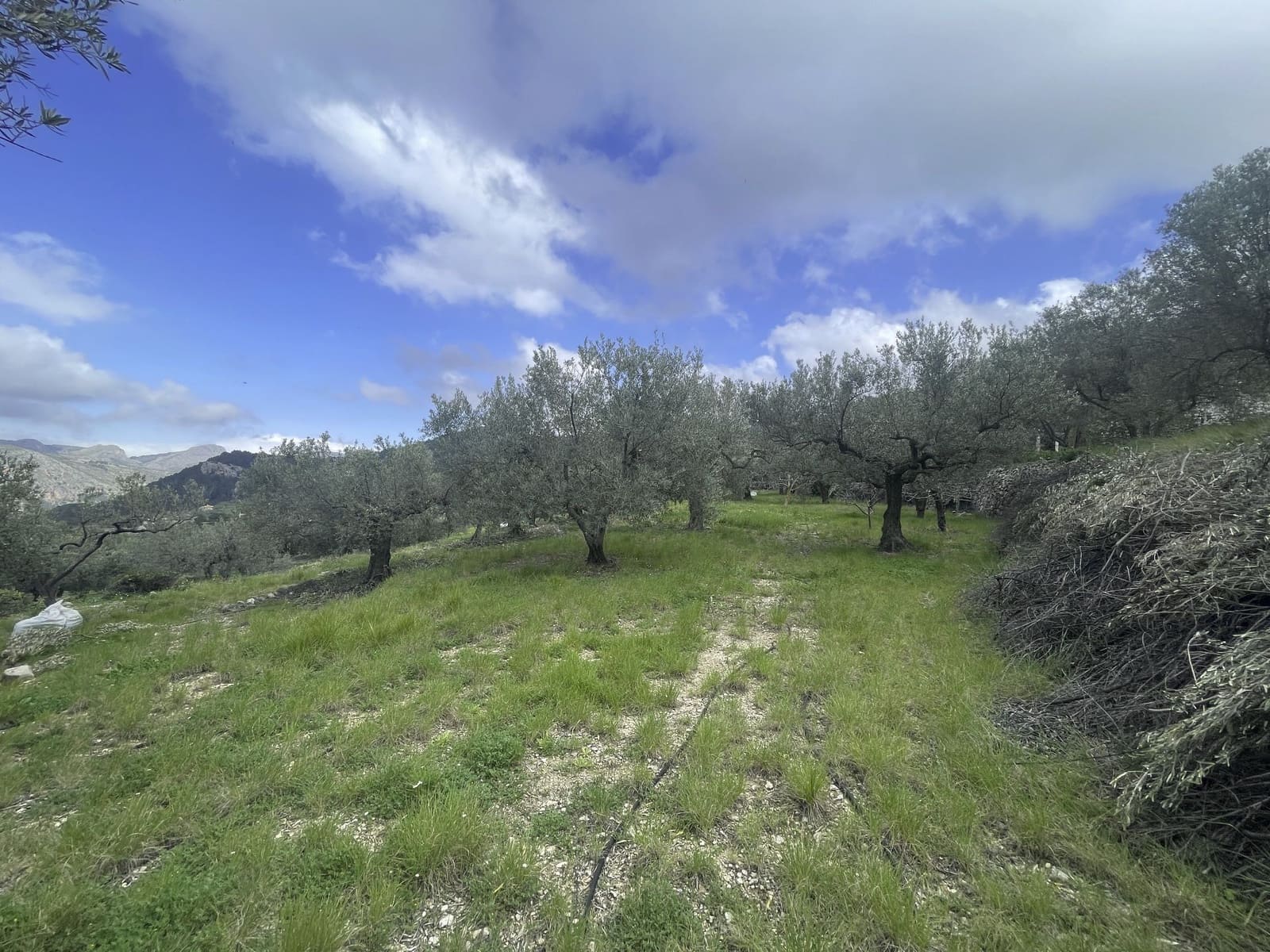 1 soveværelse Villa til salg i Confrides - € 130.000 (Ref: 8968013)