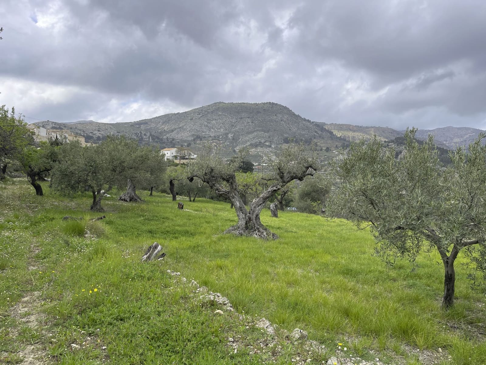 1 soveværelse Villa til salg i Confrides - € 130.000 (Ref: 8968013)